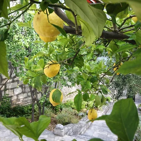 By The Sea Orebic, Peljesac - 4496 Orebić