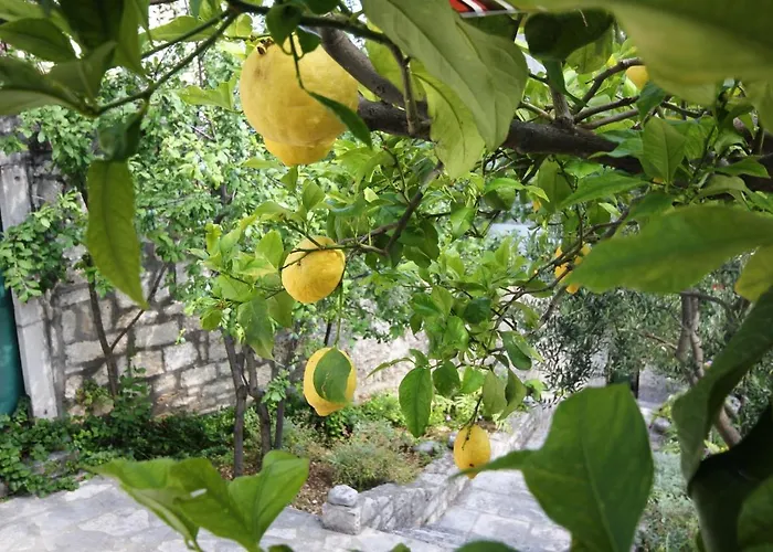 By The Sea Orebic, Peljesac - 4496 오레비츠